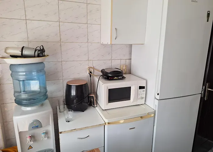 Boutique Apartment Grigorescu