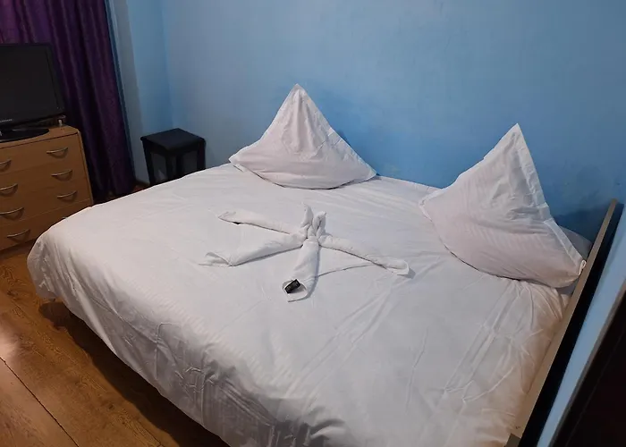 Boutique Apartment Grigorescu